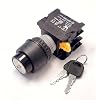 Alpinetech KS-22 22mm Key Lock Selector Switches Maintained (KS-22-2P)