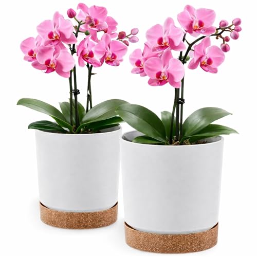 Pot de fleurs blanc ø 24 cm en plastique mat pour plantes lot de 2