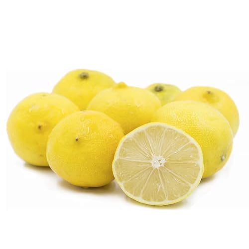 Persian Sweet Lemon Citrus Limetta Tree Saplings Live Lemon Plant Starter Plug 2 Inc Tall Seedling For Planting #TOP2