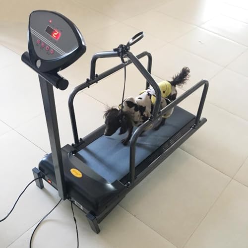 Cinta de correr canina ajustable para perros con podómetro para perros medianos y grandes, ideal para fitness y entrenamiento