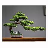 bonsai pinus parviflora pentaphylla Questo mini bonsai artificiale è perfetto per gli spazi interni, poiché non sbiadisce mai e non richiede irrigazione. Ideale per la decorazione di ufficio, casa o scaffale.