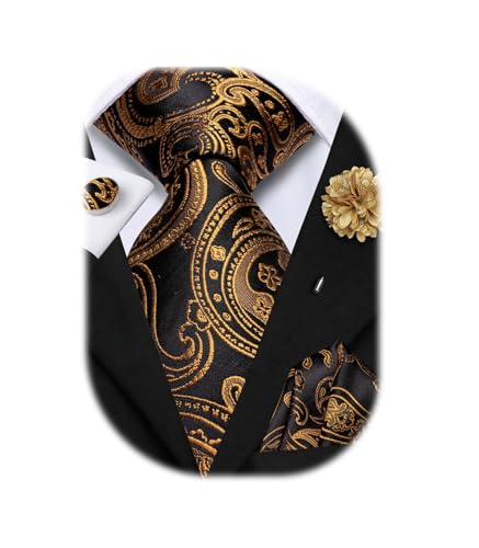 Image of Hi-Tie Mens Paisley Floral Striped Ties Set Silk Necktie and Lapel Pin for Men Pocket Square Cufflinks Set Business Wedding
