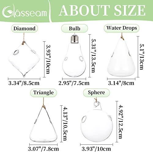 Glasseam D005 Hanging Planters Glass Terrarium: 5Pcs Modern Plant Propagation Stations Hydroponic Wall Vases thumb #5