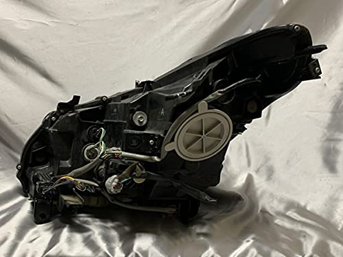 Amazon | 車検対応□V36 スカイライン 後期 セダン AFS無し□インナー