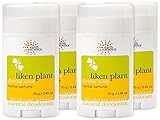 EARTH SCIENCE - All-Natural Aluminum Free Herbal Scented Lichen Plant Deodorant, 2.45 Ounce (Pack of 4)