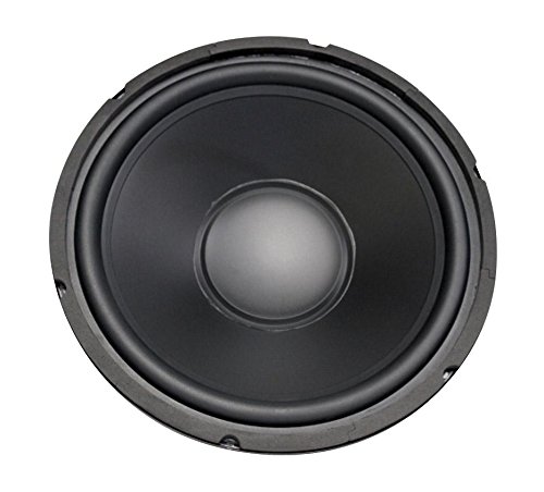 12" Woofer with Poly Cone and Rubber Surround 120W RMS at 8ohm