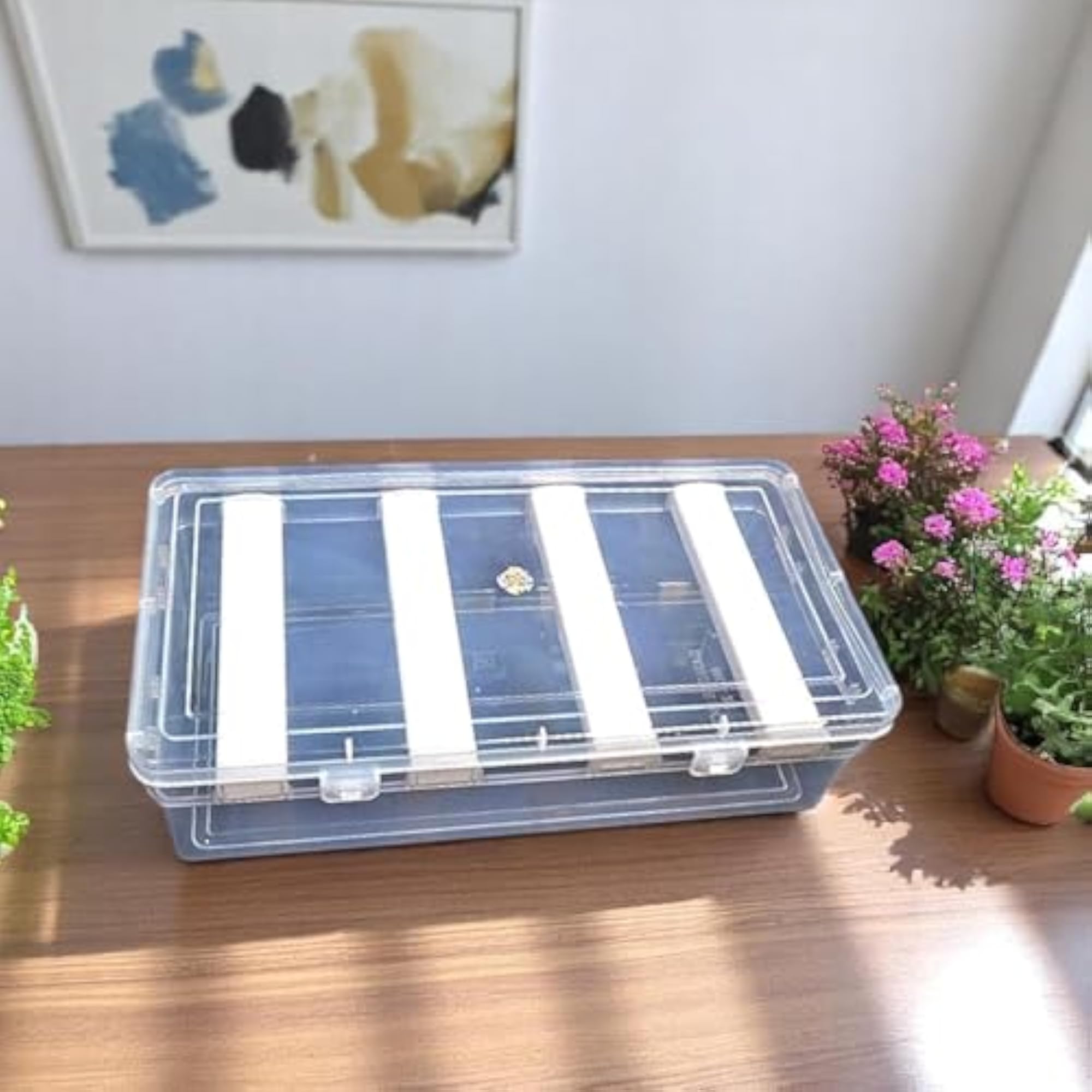 Multipurpose Bangle Organizer Box, Adjustable Storage Solution