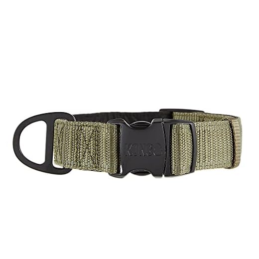 KONG Max HD Ultra Durable Neoprene Padded Dog Collar (Large, Green)