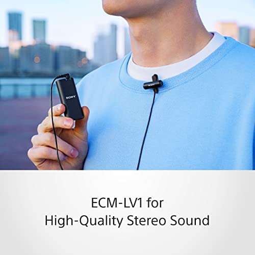 Image of Sony ZV-E10L Vlogging Kit with 16-50mm Power Zoom Lens, Wireless Microphone(ECM-W2BT), Lavalier Microphone(ECM-LV1), Bluetooth Grip(GP-VPT2BT), Battery Charger (BC-TRW), Rechargeable Battery(7)