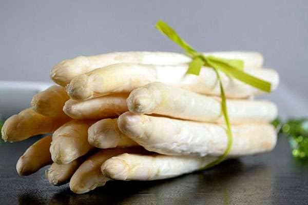 Miniatura 6 de RAISE ME UP Semillas Espárragos Blancos No OGM Heirloom