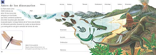 Dinosaurios [Spanish] 9707772980 Book Cover