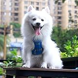 Suredoo Hundegeschirr Kleine Hunde mit Leine, Anti Zug Geschirr Reflektierend Atmungsaktiv Brustgeschirr, Welpengeschirr für Kleine Hunde (Blau Kariert, M, Brust: 34-39cm)
