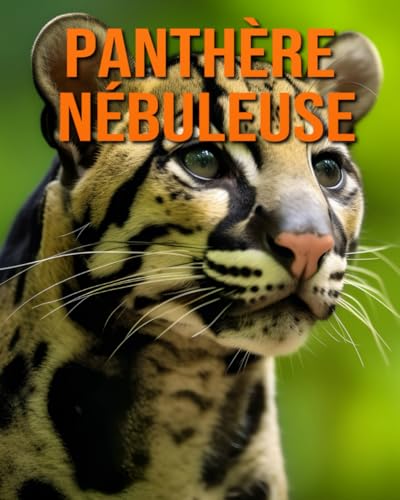 Panthère Nébuleuse: Des Informations et des Images Amusantes et Intéressantes concernant les Panthère Nébuleuse (French Edition)