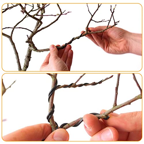 Defutay Anodized Aluminum Bonsai Training Wire - Bonsai Wire - 0.25Mm, 0.3Mm, 1Mm, 1.5Mm, 2Mm (16 Feet Total) - Suit For Bonzai Trees Indoor (5 Sizes, Black, 5) #TOP2