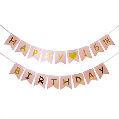 Happy 16th Birthday Banner for Girls - 16th Birthday Party Swallow Tail Banner Decorations - Sweet 16 - Cheers to 16 Years Birthday Decorations