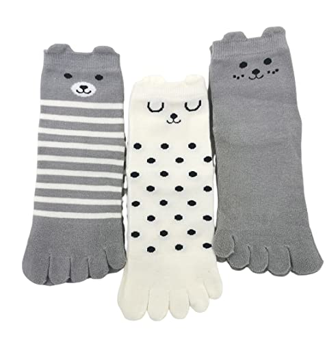 [NECOTIA] Amazonuh 5{w\bNX t q LbY ܖ{w C ėp Zbg n[t ~ X|[c  ʋC ΍ L hL (3Zbg,3-7)c