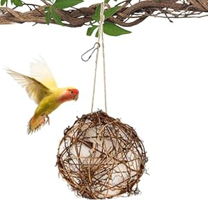 Vogelnesthuis,Kolibrienesthuis – Vol met vogelnestmaterialen | Globe Bird House, navulbaar buitenvogelneststation voor vogels kijken, patiotuin, vogels winterkoninkjes vinken
