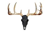 Wall Charmers Large Black + Gold Faux Deer Skull - 21