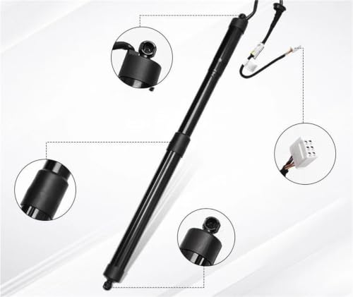 Hayon électrique 68910-42060 support de levage pour RAV-4 2019-2022
