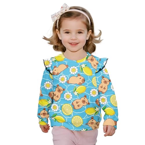 Fall Long Sleeve Shirts for Girls Ruffle Toddler Crewneck Sweatshirt Athletic Tops Soft Pullover Size 1-8