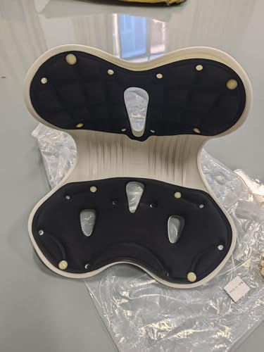 【Amazon.co.jp限定】 姿勢矯正 椅子【2025最新昇級 座椅子 腰が痛くならない】人体工学 腰痛 クッション 高反発メモリー綿 骨盤から腰をサポート軽量 クッション 猫背改善 てこの原理 骨盤矯正 通気性 150kgに耐え オフィス テレワーク 女性 男性 友達 学生 両親ギフト最適 (ブラック)のサムネイル