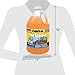 Rain-X All Season 0°F 2-in-1 De-Icer & Bug Remover Windshield Washer Fluid - 1 Gallon (Pack of 6)