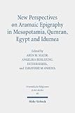  New Perspectives on Aramaic Epigraphy in Mesopotamia, Qumran, Egypt and Idumea: Proceedings of the Joint Riab Minerva Center and the Jeselsohn ... on Israel and Aram in Biblical Times II