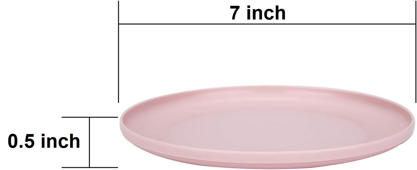 Colorful Dinner Plates Set of 6 - Durable & Dishwasher Safe -2