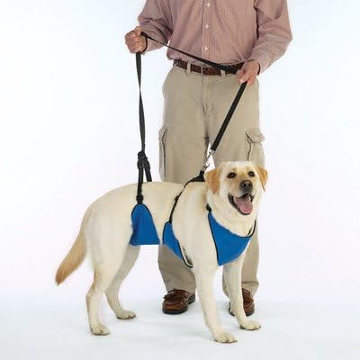 Guardian Gear Lift & Lead 4in1 S Blu