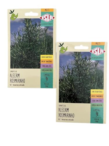 Kit com 2 Envelopes de Sementes de Alecrim Rosmarinho Isla Temperos Cozinha Livre de Agrotóxicos