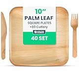 50 10 inch Square Palm Leaf Plates + 100 Cutlery - Better Than Bamboo or Wood Plates. Heavy Duty, 100% Compostable & Biodegradable Eco Friendly Party Plates
