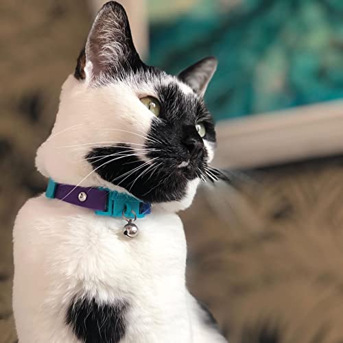 Image of Kittyrama Monte Carlo Cat Collar with Bell. Breakaway Collar. Won't Rub Fur. Lightweight, Soft & Comfy