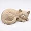 Sleep Cat - Beige