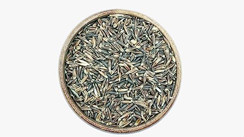 Reitgarten´s Bio Schwarzhafer ganzes Korn 10 kg Pferd Futter Kraftfutter Hafer Pferdefutter Organic