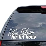 DiamondCutStickerz Too Low for Fat Hoes Japanese JDM Decal Sticker Car Truck Motorcycle Window Bumper Laptop Wall Decor - Size (07 inch / 18 cm Wide) - Color (Gloss White)