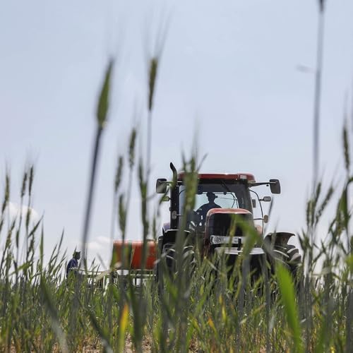 How the farm bill became the everything bill Podcast Por  arte de portada