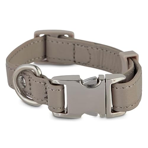 Bond & Co. Gray Leather Snap Buckle Dog Collar, X-Small/Small