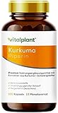 Vitalplant® Kurkuma Extrakt im Braunglaß - 440mg hochdosiertes Curcuma Extrakt 95% mit Piperin - 120 Kapseln vegan