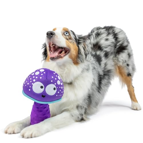 Huxley & Kent Power Plush Squeaky Dog Toy, Mellow Mushroom, Large by Huxley & Kent - Used condition - Image 3