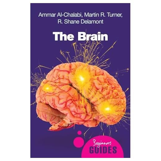 The Brain: A Beginner's Guide (Beginner's Guides)