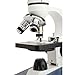 Celestron – Celestron Labs – Monocular Head Compound Microscope – 40-1000x Magnification – Adjustable Mechanical Stage – Includes 2 Eyepieces and 10 Prepared Slides