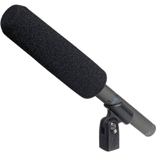 Audio-Technica AT4040 microphone