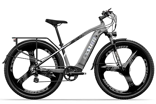 Speedy VTT électrique 29'' pour adultes, 48v, 15Ah, 250W
