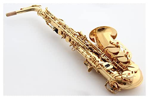 vtFbViTbNX AgTbNX AeB[N  E- tbg AgTbNX uY P[Xt }EXs[X [h lbN ^J TbNX rMi[YLbg (J[: S[h)