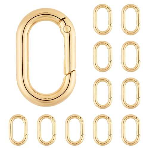 DEVPSISR 12Pack 1 Inch Small Carabiner Spring Hooks Metal