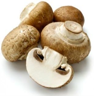 Royal Champignon Seeds Spores Royal Agaricus Bisporus Portobello Mushrooms/Fungus (25g) by Garden Pleasure