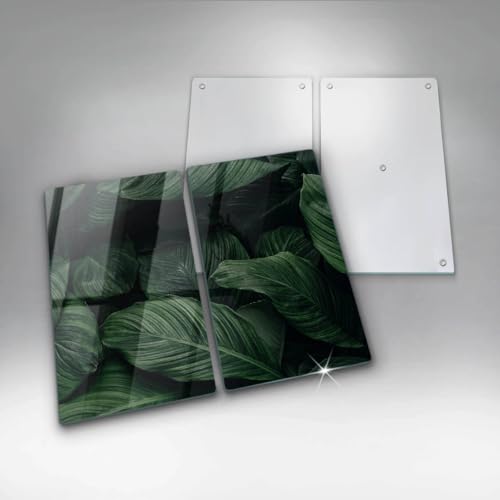 Protection plaque induction contre les rayures avec feuilles sombres