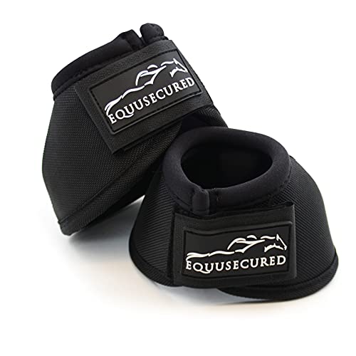 20 Best Horse Boots Of 2022(Reviews & Comparison) BDR