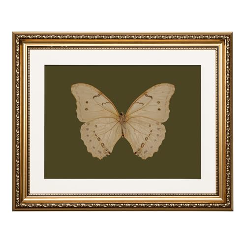 ARPEOTCY Vintage Gold Framed Wall Art, 13x16 inch Classical White Butterfly Paintings, Dark Moody Green Canvas Prints Artwork with Antique Picture Frame, Victorian Wall Decor for Gallery Living Room
