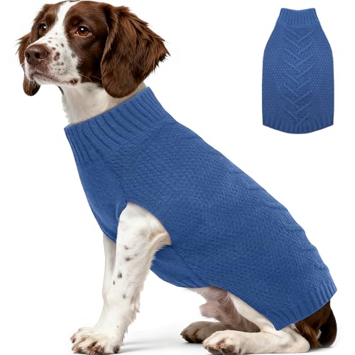 Why does my dog constantly shake